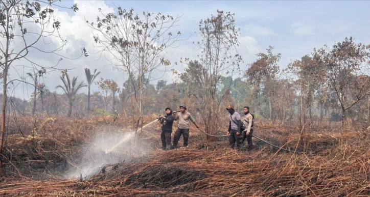 Karhutla di Kepulauan Meranti Petugas masih berjibaku padamkan api, satu tersangka diamankan